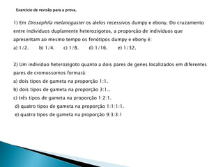 Exercício de revisão para a prova. 
1) Em Drosophila melanogaster os alelos recessivos dumpy e ebony. Do cruzamento 
entre indivíduos duplamente heterozigotos, a proporção de indivíduos que 
apresentam ao mesmo tempo os fenótipos dumpy e ebony é: 
a) 1/2. b) 1/4. c) 1/8. d) 1/16. e) 1/32. 
2) Um indivíduo heterozigoto quanto a dois pares de genes localizados em diferentes 
pares de cromossomos formará: 
a) dois tipos de gameta na proporção 1:1. 
b) dois tipos de gameta na proporção 3:1.. 
c) três tipos de gameta na proporção 1:2:1. 
d) quatro tipos de gameta na proporção 1:1:1:1. 
e) quatro tipos de gameta na proporção 9:3:3:1 
 