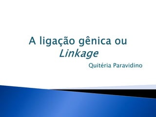 Quitéria Paravidino
 