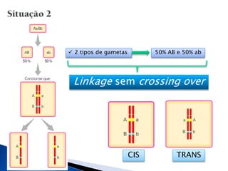  2 tipos de gametas 50% AB e 50% ab
Linkage sem crossing over
CIS TRANS
 