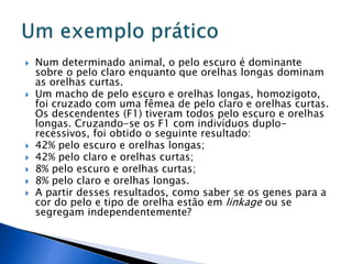  Num determinado animal, o pelo escuro é dominante
sobre o pelo claro enquanto que orelhas longas dominam
as orelhas curtas.
 Um macho de pelo escuro e orelhas longas, homozigoto,
foi cruzado com uma fêmea de pelo claro e orelhas curtas.
Os descendentes (F1) tiveram todos pelo escuro e orelhas
longas. Cruzando-se os F1 com indivíduos duplo-
recessivos, foi obtido o seguinte resultado:
 42% pelo escuro e orelhas longas;
 42% pelo claro e orelhas curtas;
 8% pelo escuro e orelhas curtas;
 8% pelo claro e orelhas longas.
 A partir desses resultados, como saber se os genes para a
cor do pelo e tipo de orelha estão em linkage ou se
segregam independentemente?
 