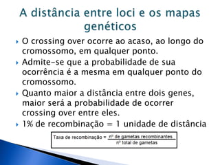  O crossing over ocorre ao acaso, ao longo do
cromossomo, em qualquer ponto.
 Admite-se que a probabilidade de sua
ocorrência é a mesma em qualquer ponto do
cromossomo.
 Quanto maior a distância entre dois genes,
maior será a probabilidade de ocorrer
crossing over entre eles.
 1% de recombinação = 1 unidade de distância
 