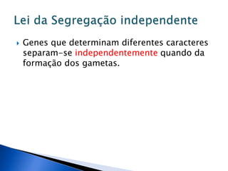  Genes que determinam diferentes caracteres
separam-se independentemente quando da
formação dos gametas.
 