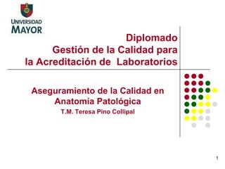 Diplomado
Gestión de la Calidad para
la Acreditación de Laboratorios
Aseguramiento de la Calidad en
Anatomía Patológica
T.M. Teresa Pino Collipal

1

 