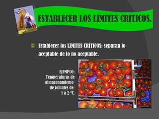 ESTABLECER LOS LÍMITES CRÍTICOS. Establecer los LIMITES CRÍTICOS: separan lo aceptable de lo no aceptable. EJEMPLO: Temperaturas de almacenamiento  de tomates de  1 a 2 ºC. 