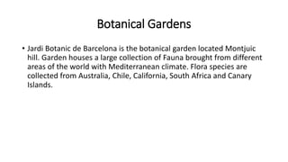 Botanical Gardens
• Jardi Botanic de Barcelona is the botanical garden located Montjuic
hill. Garden houses a large collection of Fauna brought from different
areas of the world with Mediterranean climate. Flora species are
collected from Australia, Chile, California, South Africa and Canary
Islands.
 
