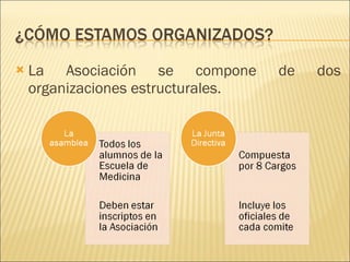 La Asociación se compone de dos organizaciones estructurales. 