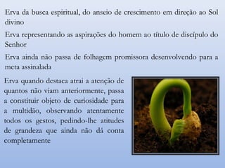 Erva da busca espiritual, do anseio de crescimento em direção ao Sol
divino
Erva representando as aspirações do homem ao título de discípulo do
Senhor
Erva ainda não passa de folhagem promissora desenvolvendo para a
meta assinalada
Erva quando destaca atrai a atenção de
quantos não viam anteriormente, passa
a constituir objeto de curiosidade para
a multidão, observando atentamente
todos os gestos, pedindo-lhe atitudes
de grandeza que ainda não dá conta
completamente
 