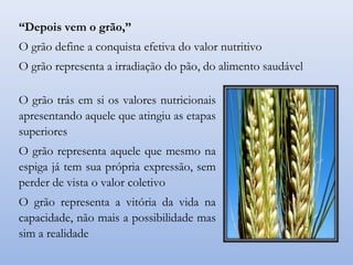 O grão trás em si os valores nutricionais
apresentando aquele que atingiu as etapas
superiores
O grão representa aquele que mesmo na
espiga já tem sua própria expressão, sem
perder de vista o valor coletivo
O grão representa a vitória da vida na
capacidade, não mais a possibilidade mas
sim a realidade
“Depois vem o grão,”
O grão define a conquista efetiva do valor nutritivo
O grão representa a irradiação do pão, do alimento saudável
 