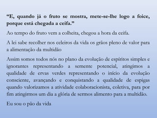 “E, quando já o fruto se mostra, mete-se-lhe logo a foice,
porque está chegada a ceifa.”
Ao tempo do fruto vem a colheita, chegou a hora da ceifa.
A lei sabe recolher nos celeiros da vida os grãos pleno de valor para
a alimentação da multidão
Assim somos todos nós no plano da evolução de espíritos simples e
ignorantes representando a semente potencial, atingimos a
qualidade de ervas verdes representando o início da evolução
consciente, avançando e conquistando a qualidade de espigas
quando valorizamos a atividade colaboracionista, coletiva, para por
fim atingirmos um dia a glória de sermos alimento para a multidão.
Eu sou o pão da vida
 