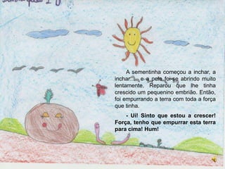A sementinha começou a inchar, a inchar…  e a pele foi-se abrindo muito lentamente. Reparou que lhe tinha crescido um pequenino embrião. Então, foi empurrando a terra com toda a força que tinha.- Ui! Sinto que estou a crescer! Força, tenho que empurrar esta terra para cima! Hum!