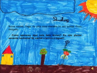 Plantinha?! Eu?! Pois é, já não sou uma sementinha. Agora sou uma planta, fixe! -  Bom dia senhor Sol. - Olá amigas planta e semente. Vamos ficar vizinhas neste quintal! Que maravilhoso!!A Sementinha não parava de falar e de cumprimentar toda a gente. Estava felicíssima!