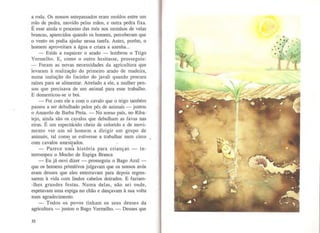 a roda. Os nossos antepassados eram moídos entre um
rolo de pedra, movido pelas mãos, e outra pedra fixa.
É esse ainda o processo das mós nos moinhos de velas
brancas, aparecidos quando os homens, perceberam que
o vento os podia ajudar nessa tarefa. Antes, porém, o
homem aproveitara a água e criara a azenha...
- Estás a esquecer o arado - lembrou o Trigo
Vermelho. E, como o outro hesitasse, prosseguiu:
- Foram as novas necessidades da agricultura que
levaram à realização do primeiro arado de madeira,
numa imitação do focinho do javali quando procura
raízes para se alimentar. Atrelado a ele, a mulher pen-
sou que precisava de um animal para esse trabalho.
E domesticou-se o boi.
- Foi com ele e com o cavalo que o trigo também
passou a ser debulhado pelos pés de animais -juntou
o Amarelo de Barba Preta. -No nosso país, no Riba-
tejo, ainda são os ca,yalos que debulham as favas nas
eiras. É um espectáculo cheio de colorido e de movi-
mento ver um só homem a dirigir um grupo de
animais, tal como se estivesse a trabalhar num circo..,
com cavalos amestrados. ·
- Parece um
1
a história para crianças - in-
terrompeu o Mocho de Espiga Branca
-Eu já ouvi dizer- prosseguiu o Bago Azul-
que os homens primitivos julgavam que os nossos avós
eram deuses que eles enterravam para depois regres-
sarem à vida com lindos cabelos doirados. E faziam-
-lhes grandes festas. Numa delas, não sei onde,
espetavam uma espiga no chão e dançavam à sua volta
num agradecimento.
- Todos os povos tinham os seus deuses da
agricultura - juntou o Bago Vermelho. - Deuses que
32
 