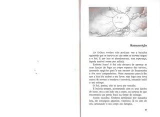 Ressurreição
As folhas verdes não podiam ver a batalha
aguerrida que se travava no céu entre as nuvens negras
e o Sol. E por isso se abandonavam, sem esperança,
àquela terrível morte por asfixia.
Embora fraco! o Sol não deixava de apontar as
suas lanças de fogo ao corpo espesso das nuvens,
querendo rasgá-las para ·ir em socorro da Sementinha
e dos seus companheiros. Num momento parecia-lhe
que a luta iria acabar a seu favor; mas logo uma nova
massa de nuvens o enrolava e envolvia, tomando inútil
o seu esforço.
O Sol, porém, não se dava por vencido.
E insistia sempre, acometendo com os seus dardos
de lume, ora a um lado ora a outro, na certeza de que
encontraria um ponto fraco na frente do inimigo.
Assim sucedeu. Embora debilitado por tamanha
luta, ele conseguiu aparecer, vitorioso, lá no alto do
céu, arrastando o seu corpo em farrapos.
49
 