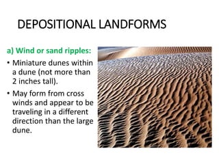 DEPOSITIONAL LANDFORMS
a) Wind or sand ripples:
• Miniature dunes within
a dune (not more than
2 inches tall).
• May form from cross
winds and appear to be
traveling in a different
direction than the large
dune.
 