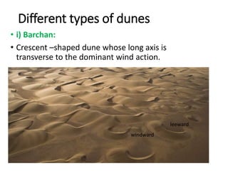 Different types of dunes
• i) Barchan:
• Crescent –shaped dune whose long axis is
transverse to the dominant wind action.
leeward
windward
 