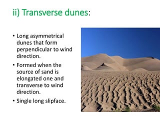 ii) Transverse dunes:
• Long asymmetrical
dunes that form
perpendicular to wind
direction.
• Formed when the
source of sand is
elongated one and
transverse to wind
direction.
• Single long slipface.
 