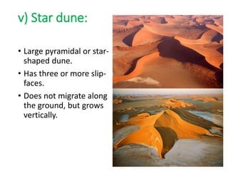 v) Star dune:
• Large pyramidal or star-
shaped dune.
• Has three or more slip-
faces.
• Does not migrate along
the ground, but grows
vertically.
 