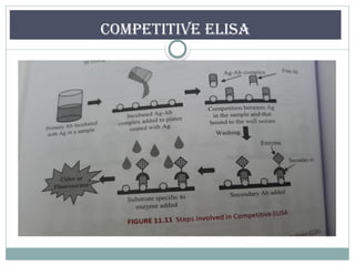 Competitive Elisa Microbe Notes.pdf M. Pharm seminar presentation on ELISA .pptx