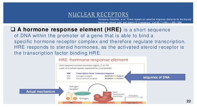 slideshare