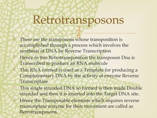 A Seminar Presentation on Transposable Elements | PPTX