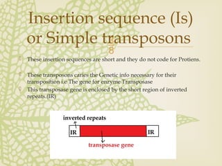 A Seminar Presentation on Transposable Elements | PPTX