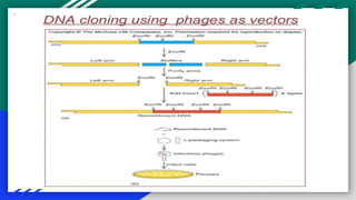 A seminar topic on cloning vector by goutam | PPTX