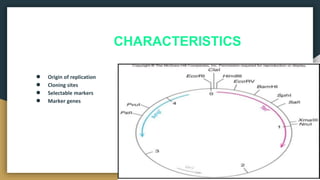 A seminar topic on cloning vector by goutam | PPTX