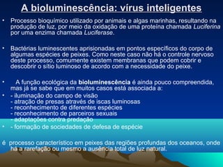 A bioluminescência: vírus inteligentes
•   Processo bioquímico utilizado por animais e algas marinhas, resultando na
    produção de luz, por meio da oxidação de uma proteína chamada Luciferina
    por uma enzima chamada Luciferase.

•   Bactérias luminescentes aprisionadas em pontos específicos do corpo de
    algumas espécies de peixes. Como neste caso não há o controle nervoso
    deste processo, comumente existem membranas que podem cobrir e
    descobrir o sítio luminoso de acordo com a necessidade do peixe.

•      A função ecológica da bioluminescência é ainda pouco compreendida,
    mas já se sabe que em muitos casos está associada a:
•   - iluminação do campo de visão
    - atração de presas através de iscas luminosas
    - reconhecimento de diferentes espécies
    - reconhecimento de parceiros sexuais
    - adaptações contra predação
•   - formação de sociedades de defesa de espécie

é processo característico em peixes das regiões profundas dos oceanos, onde
  há a rarefação ou mesmo a ausência total de luz natural.
 