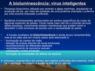 A bioluminescência: vírus inteligentes
•   Processo bioquímico utilizado por animais e algas marinhas, resultando na
    p...