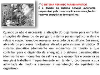 O SISTEMA NERVOSO PARASSIMPÁTICO 
É a divisão do sistema nervoso autónomo 
responsável pela manutenção e conservação das 
reservas energéticas do organismo. 
Quando já não é necessária a ativação do organismo para enfrentar 
situações de stress ou de perigo, o sistema parassimpático acalma e 
relaxa o corpo, fazendo-o regressar ao estado de equilíbrio. Em suma, 
abranda os processos fisiológicos ativados pelo sistema simpático. O 
sistema simpático (dominante em momentos de tensão e que 
contribui para o dispêndio de energias) e o sistema parassimpático 
(dominante em momentos de calma e que economiza e conserva as 
energias) trabalham frequentemente em tandem, coordenam a sua 
actividade de modo a assegurar a manutenção do equilíbrio do 
organismo. 
 