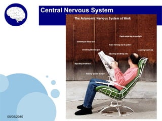 Central Nervous System




05/05/2010                            8
 