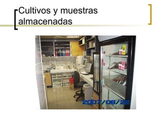 Cultivos y muestras almacenadas 