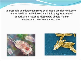 La presencia de microorganismos en el medio ambiente externo
     e interno de un individuo es inevitable y algunos pueden...