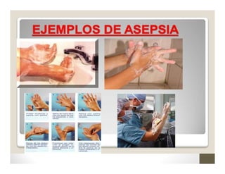 Comprehensive Guide to Medical and Surgical Asepsis Procedures | PDF