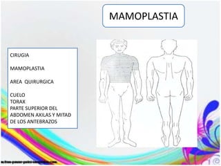 MAMOPLASTIA
CIRUGIA
MAMOPLASTIA
AREA QUIRURGICA
CUELO
TORAX
PARTE SUPERIOR DEL
ABDOMEN AXILAS Y MITAD
DE LOS ANTEBRAZOS
 