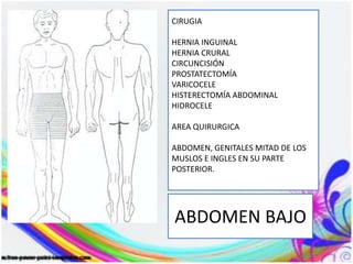 ABDOMEN BAJO
CIRUGIA
HERNIA INGUINAL
HERNIA CRURAL
CIRCUNCISIÓN
PROSTATECTOMÍA
VARICOCELE
HISTERECTOMÍA ABDOMINAL
HIDROCELE
AREA QUIRURGICA
ABDOMEN, GENITALES MITAD DE LOS
MUSLOS E INGLES EN SU PARTE
POSTERIOR.
 