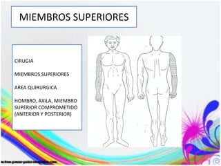 MIEMBROS SUPERIORES
CIRUGIA
MIEMBROS SUPERIORES
AREA QUIRURGICA
HOMBRO, AXILA, MIEMBRO
SUPERIOR COMPROMETIDO
(ANTERIOR Y POSTERIOR)
 
