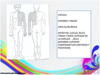 CIRUGIA
HOMBRO Y BRAZO
AREA QUIRURGICA
MITAD DEL CUELLO, NUCA,
TÓRAX Y PARTE SUPERIOR DE
LA ESPALDA , AXILA ,
MIEMBRO SUPERIOR
COMPROMETIDO (ANTERIOR Y
POSTERIOR)
 