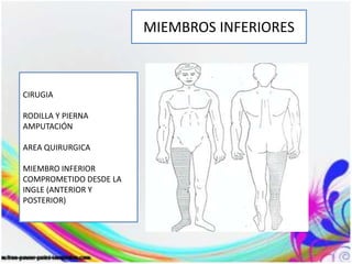 MIEMBROS INFERIORES
CIRUGIA
RODILLA Y PIERNA
AMPUTACIÓN
AREA QUIRURGICA
MIEMBRO INFERIOR
COMPROMETIDO DESDE LA
INGLE (ANTERIOR Y
POSTERIOR)
 