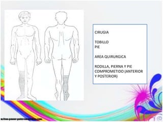 CIRUGIA
TOBILLO
PIE
AREA QUIRURGICA
RODILLA, PIERNA Y PIE
COMPROMETIDO (ANTERIOR
Y POSTERIOR)
 