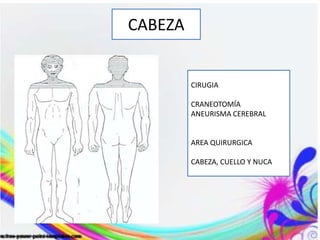 CABEZA
CIRUGIA
CRANEOTOMÍA
ANEURISMA CEREBRAL
AREA QUIRURGICA
CABEZA, CUELLO Y NUCA
 