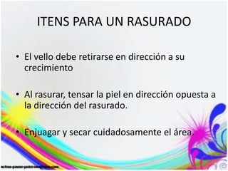 ITENS PARA UN RASURADO
• El vello debe retirarse en dirección a su
crecimiento
• Al rasurar, tensar la piel en dirección opuesta a
la dirección del rasurado.
• Enjuagar y secar cuidadosamente el área.
 