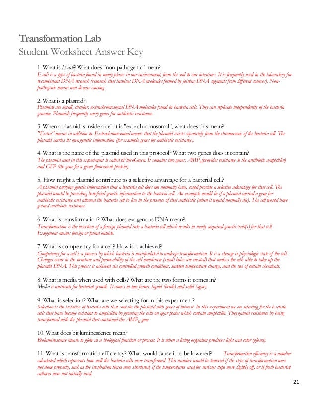 Middle school science essay questions