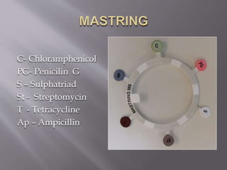 C- Chloramphenicol
PG- Penicilin G
S – Sulphatriad
St - Streptomycin
T - Tetracycline
Ap – Ampicillin
 