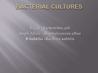 E Coli –Escherichia coli
Staph Albus - Staphylococcus albus
B Subtilis -Bacillius subtilis
 