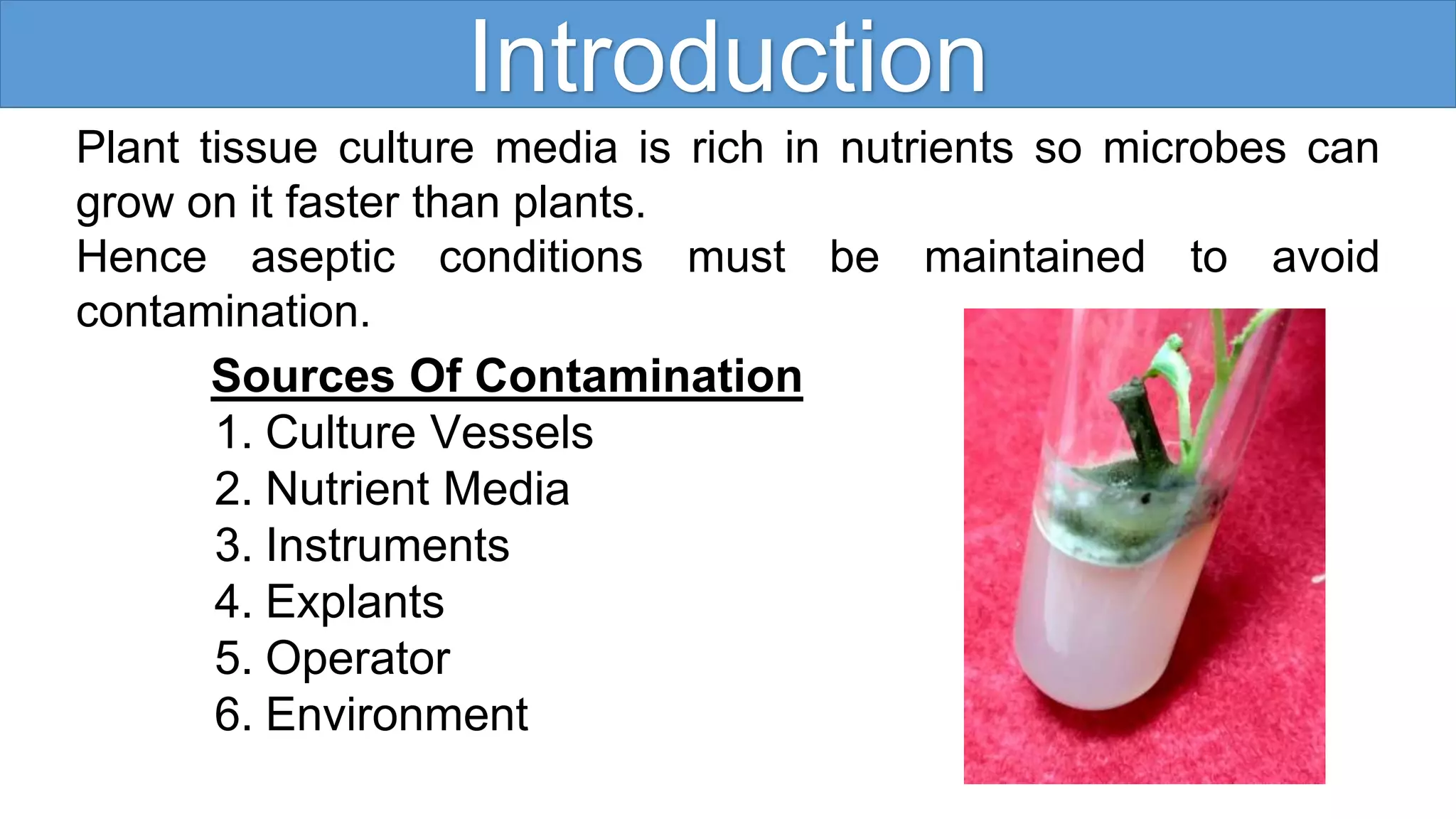 aseptic-techniques-in-plant-tissue-culture-ppt