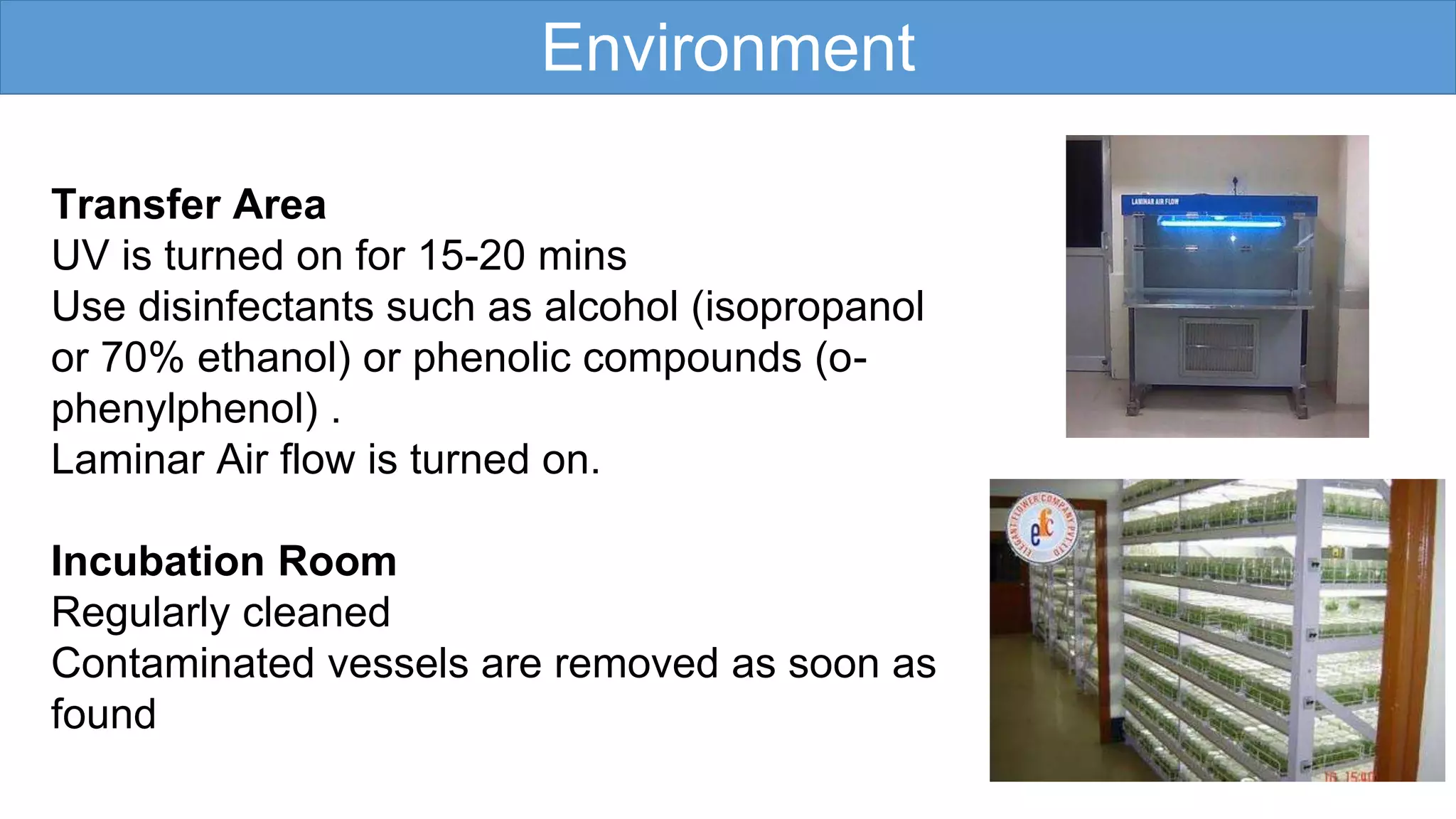 aseptic-techniques-in-plant-tissue-culture-ppt