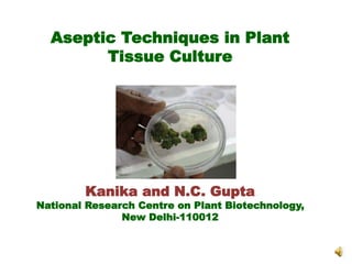 Aseptic Techniques in Plant
Tissue Culture
Kanika and N.C. Gupta
National Research Centre on Plant Biotechnology,
New Delhi-110012
 