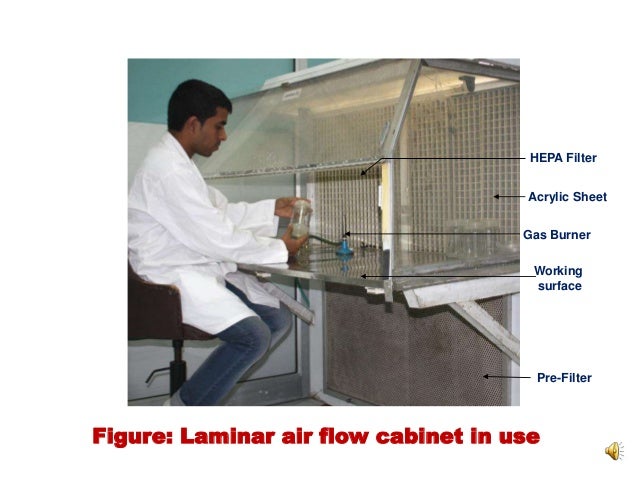 Aseptic techniques in plant tissue culture