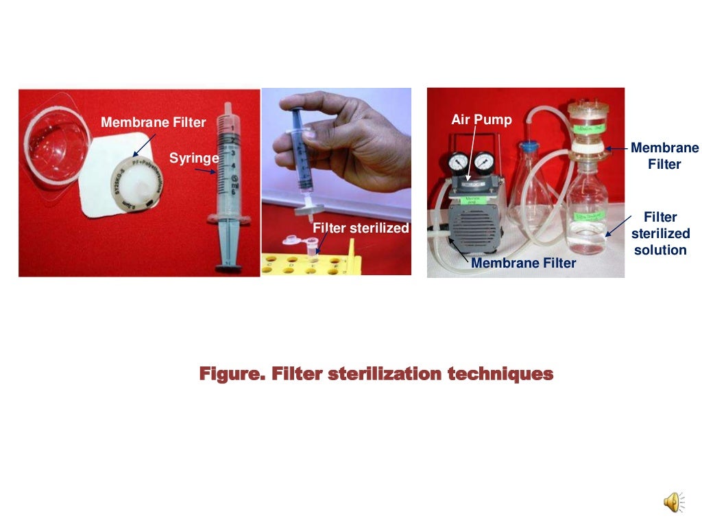 Aseptic techniques in plant tissue culture